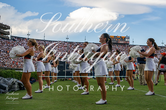 Auburn Tiger Paws vs Mercer 2022 hrwm-202209031828486700038