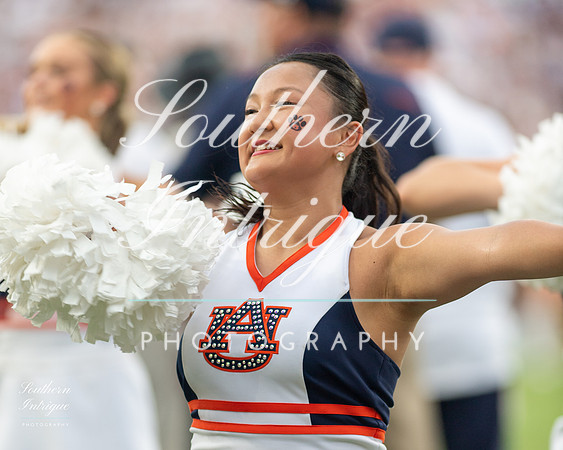 Auburn Tiger Paws vs Mercer 2022 hrwm-202209031814143674023