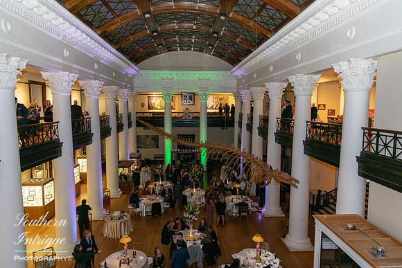 Reception Near Final-203027NIKON D85018260095of 0150