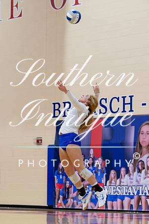 VHHS Volleyball vs Spain Park Sr Night-190951141