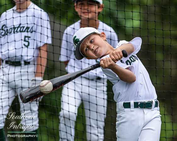 Mountain Brook vs Homewood Youth Baseball U8-20220602164147006