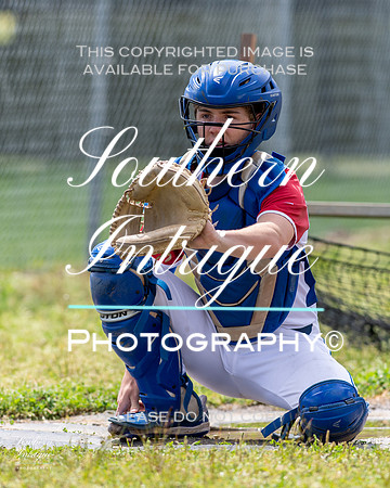 VHHS JV Baseball vs Pell City hrwm-202203311336158209011