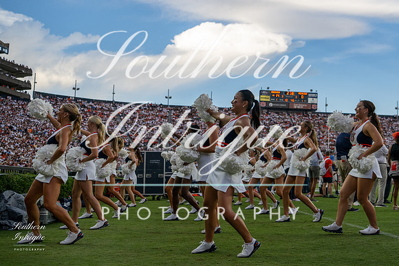 Auburn Tiger Paws vs Mercer 2022 hrwm-202209031828486703039