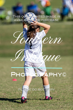 Vestavia Hills Soccer Club Girls 13U hrnwm-013202110231425502832