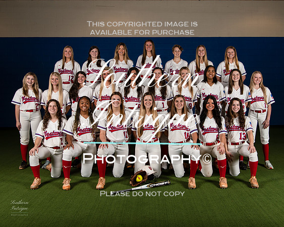 VHHS Softball Picture Day Team-20211208163126002