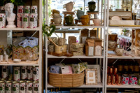 Wild Things for Homewood Life-001202303151028183704