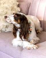 Wild Things for Homewood Life-015202303151056483772