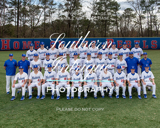 VHHS Varsity Baseball Picture Day Group 8x10  hrwm-00120220119152412D85_8385