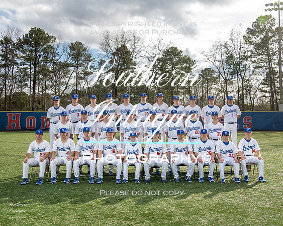 VHHS Varsity Baseball Picture Day Team hrwm-00120220119152241D85_8377