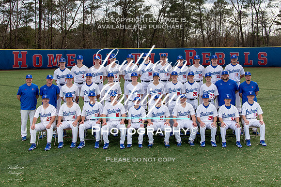VHHS Varsity Baseball Picture Day Team hrwm-00320220119152412D85_8385