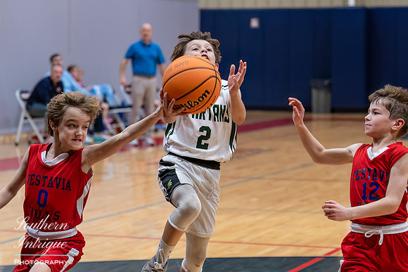 Mountain Brook Flash Basketball 3rd Grade-250202302121626422