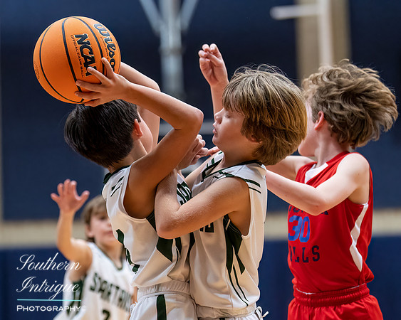 Mountain Brook Flash Basketball 3rd Grade-19520230212161652