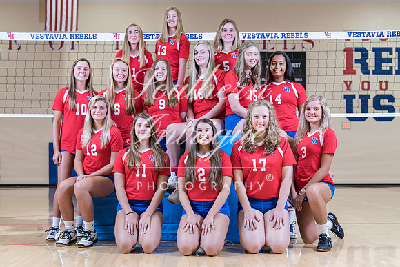z VHHS Volleyball Group Freshmen-1508389624001