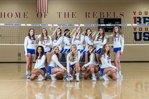 z VHHS Volleyball Group Varsity-1551209722007