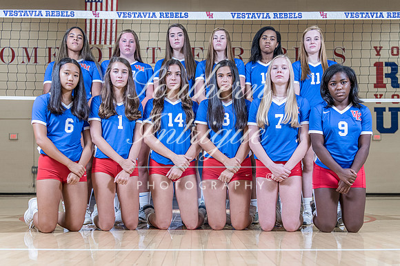 z VHHS Volleyball Group JV-152748004