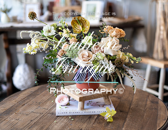 Wild Things for Homewood Life-02320230315112620