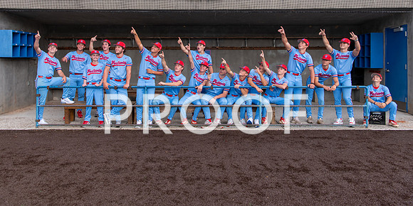 VHHS Senior Baseball Ad Options-00920220807181433D85_2949