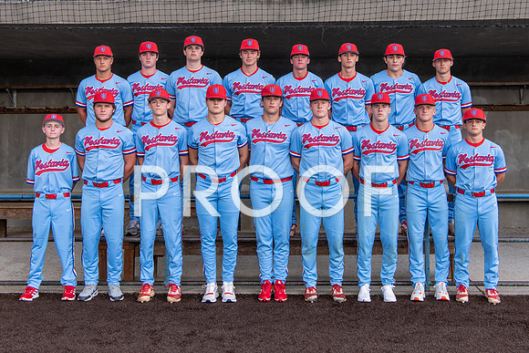 VHHS Senior Baseball Ad Options-00420220807180647D85_2928-Edit