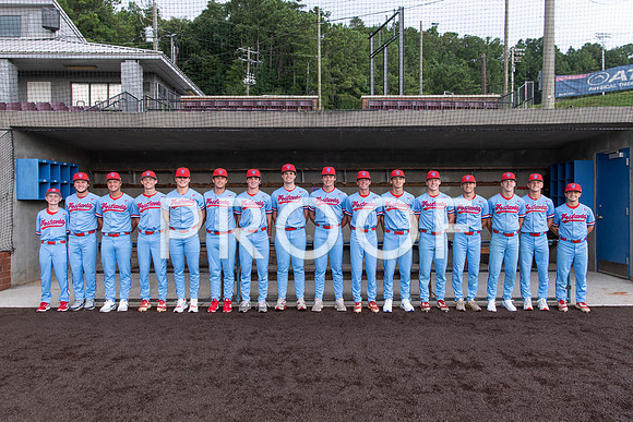 VHHS Senior Baseball Ad Options-00220220807180232D85_2922-Edit