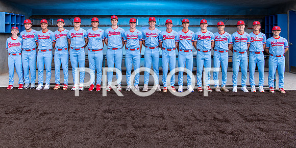 VHHS Senior Baseball Ad Options-00120220807180132D85_2920-Edit