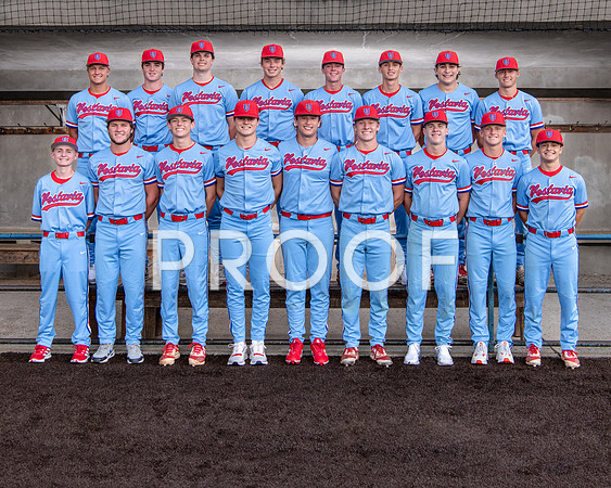 VHHS Senior Baseball Ad Options-00120220807180746D85_2932-Edit-2-Edit