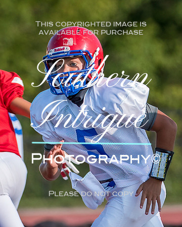 Pizitz vs Hewitt Trussville-170317003
