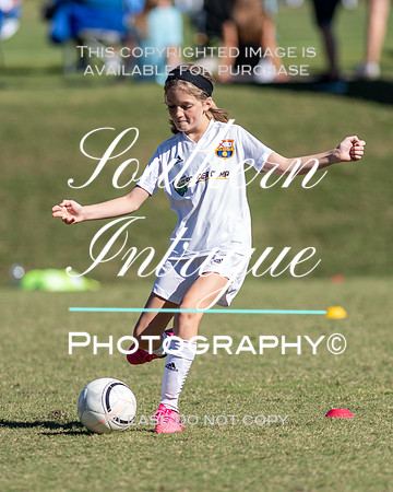 Vestavia Hills Soccer Club Girls 13U hrnwm-016202110231426092838