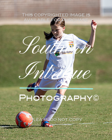 Vestavia Hills Soccer Club Girls 13U hrnwm-001202110231422562752