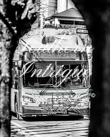 Transportation options around UAB-002202402021353397353