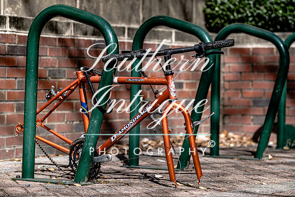 Transportation options around UAB-008202402021409317409