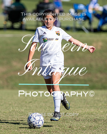 Vestavia Hills Soccer Club Girls 13U hrnwm-012202110231425462818