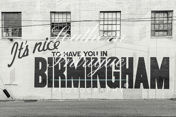 Downtown Birmingham Stock-1752536536002