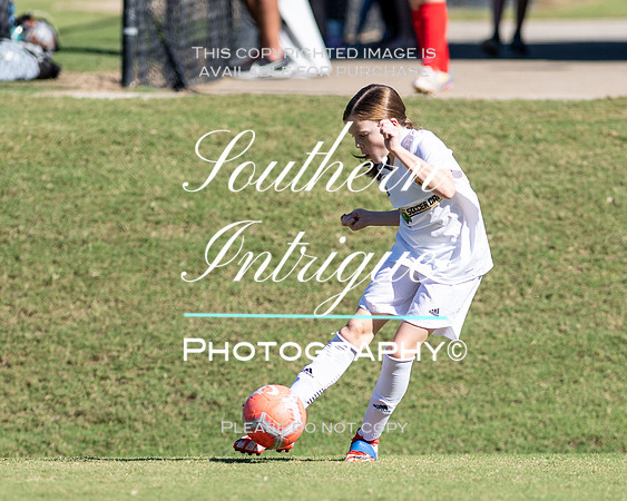 Vestavia Hills Soccer Club Girls 13U hrnwm-005202110231424532786