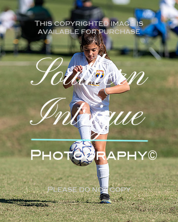 Vestavia Hills Soccer Club Girls 13U hrnwm-010202110231425452813