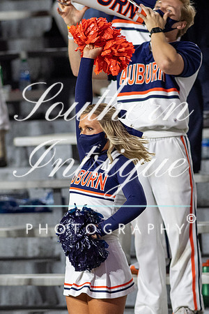 AU vs TN Cheer 2020-202011211858525900110