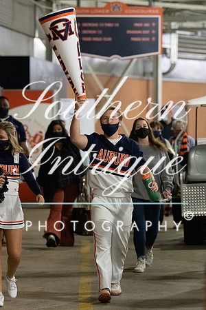 AU vs TN Cheer 2020-20201121175815001
