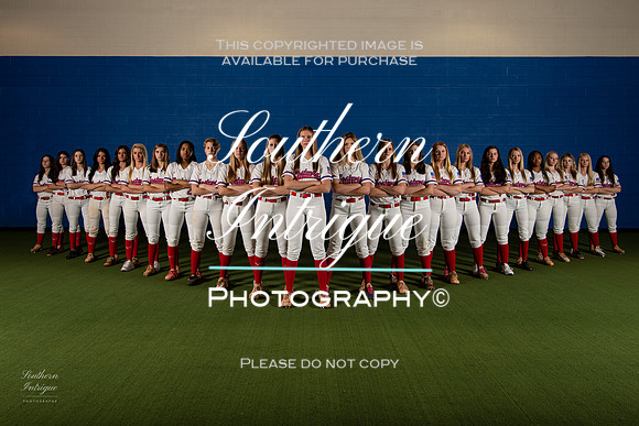 VHHS Softball Picture Day Team-20211208165318005