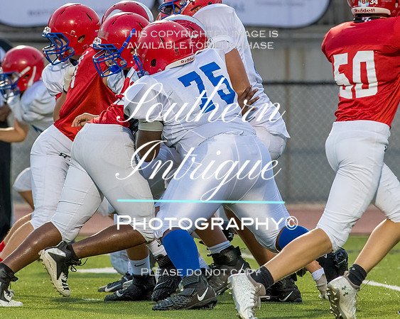 Pizitz vs Hewitt Trussville 8th-185721043