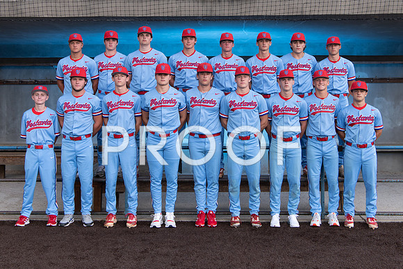 VHHS Senior Baseball Ad Options-00320220807180638D85_2927-Edit