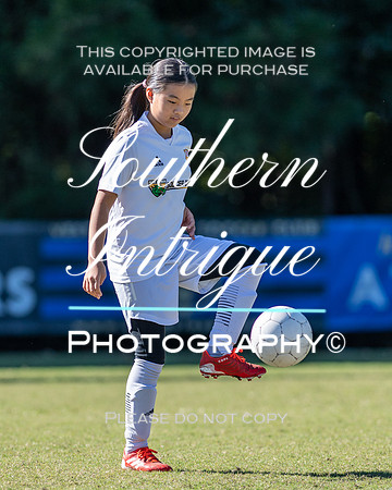 Vestavia Hills Soccer Club Girls 13U hrnwm-019202110231427012847