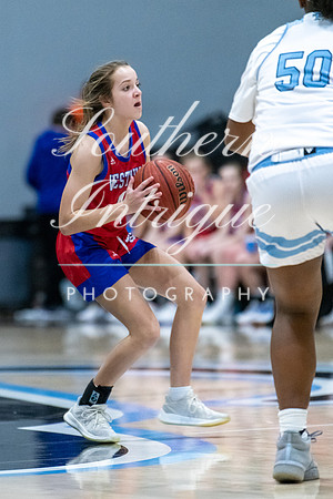 VHHS Girls vs Sparin Park Play Offs-12