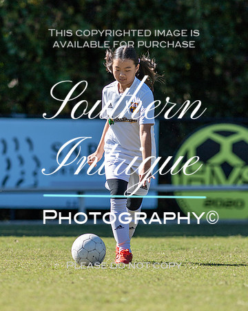 Vestavia Hills Soccer Club Girls 13U hrnwm-020202110231427082851