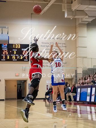 Vestavia Basketball vs Hewitt Web-9048