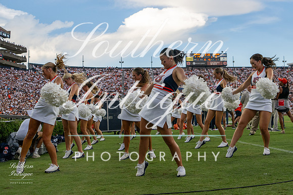 Auburn Tiger Paws vs Mercer 2022 hrwm-202209031829016785052
