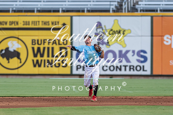 u35 Tribe vs Sharks-1906017877051