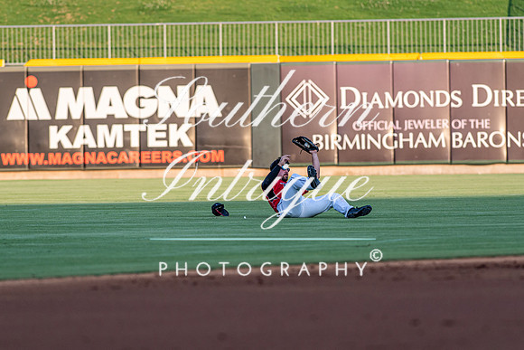 u35 Tribe vs Sharks-1902527779044