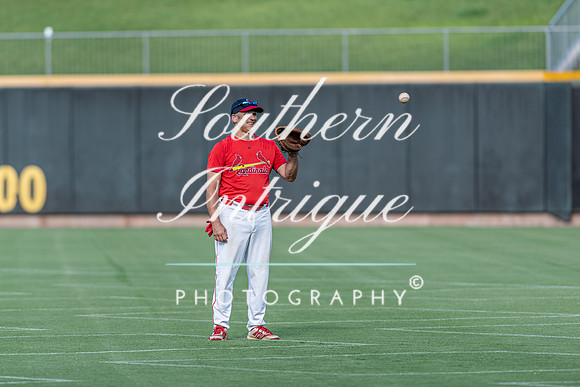 o35 Bandits vs Cardinals -1732365080020