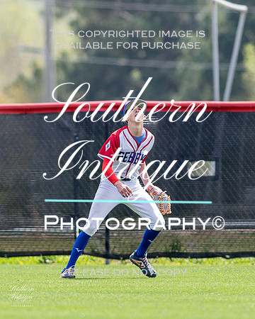 VHHS JV Baseball vs Pell City hrwm-202203311338158308022