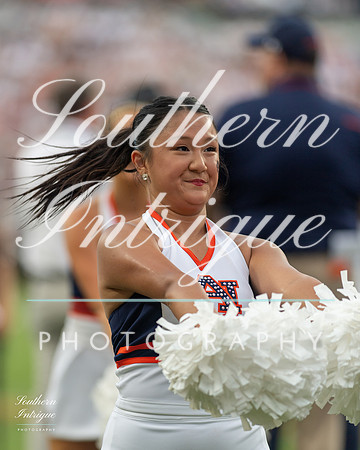 Auburn Tiger Paws vs Mercer 2022 hrwm-202209031814133662022
