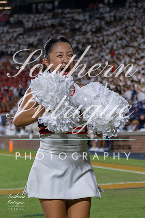 Auburn Tiger Paws vs Mercer 2022 hrwm-202209032003008232067